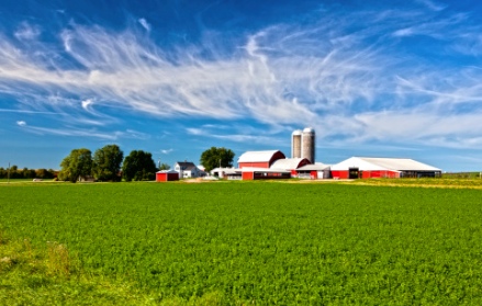 Agricultural Farm Chemicals